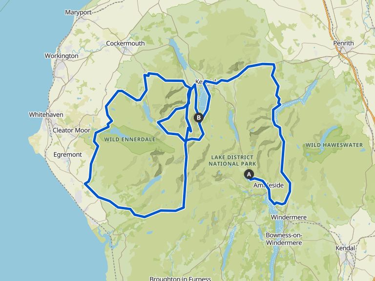 eroica bikes for sale